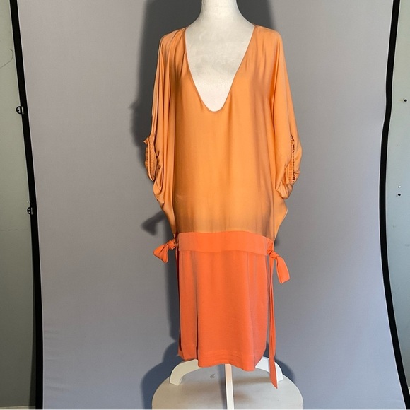 Diane Von Furstenberg Peach/Apricot Silk Drop Waist Batwing Puffed Sleeves Dress - Picture 14 of 16